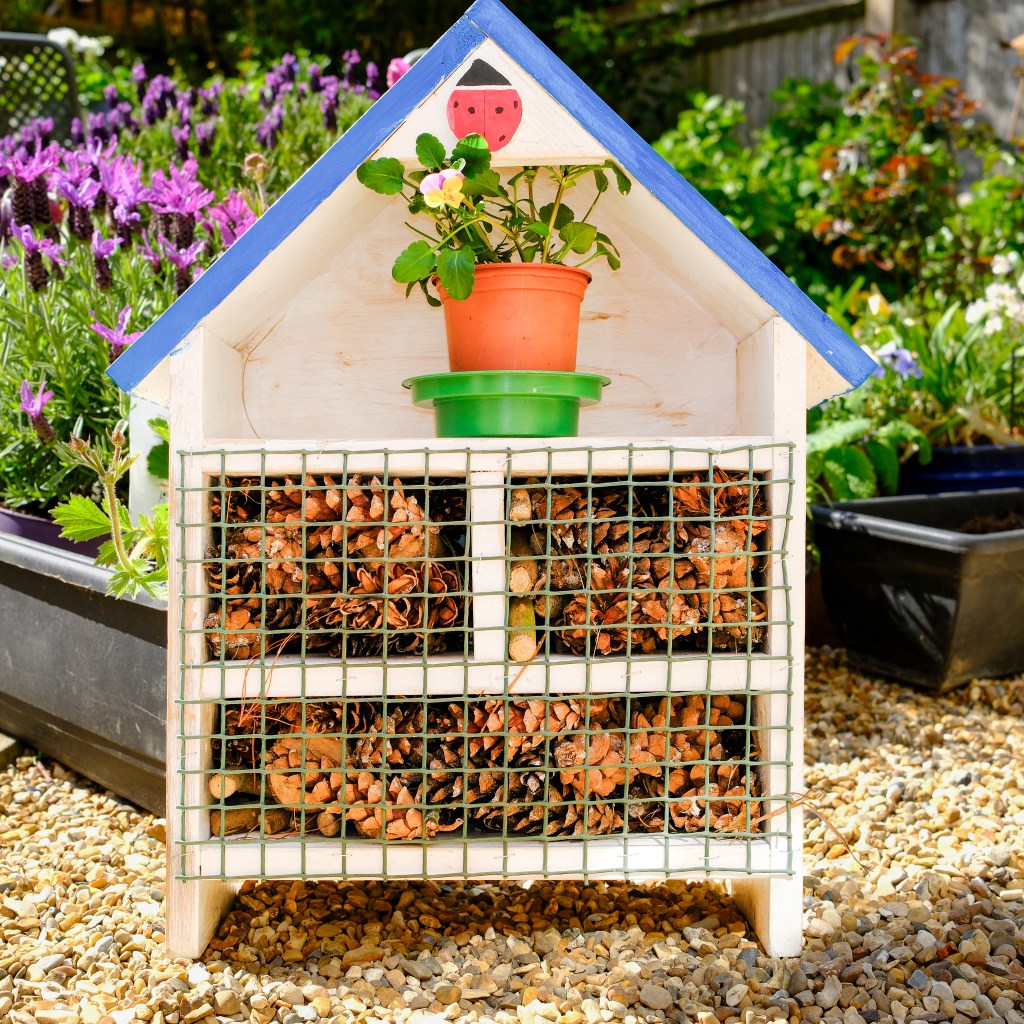 Bug hotel made from reclaimed pine